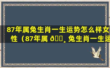 87年属兔生肖一生运势怎么样女性（87年属 🕸 兔生肖一生运势怎么样女性婚姻 🌺 如何）